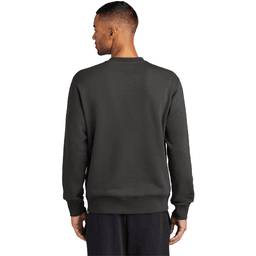 Back (Model)