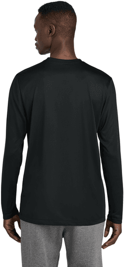 Back (Model)