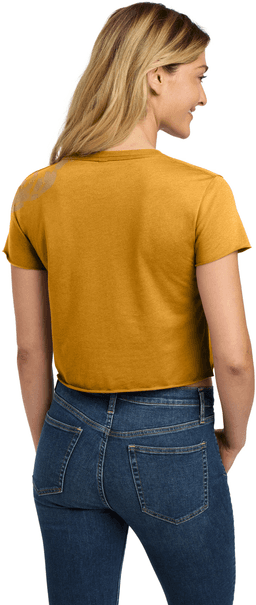 Back (Model)