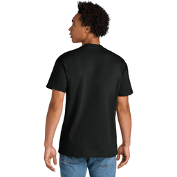 Back (Model)