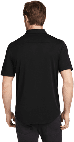 Back (Model)