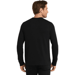 Back (Model)