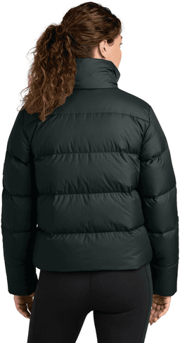 Back (Model)