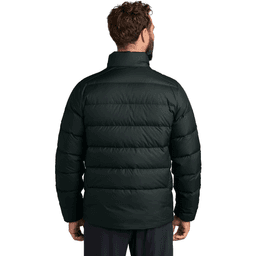 Back (Model)