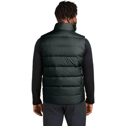 Back (Model)