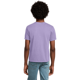 Back (Model)