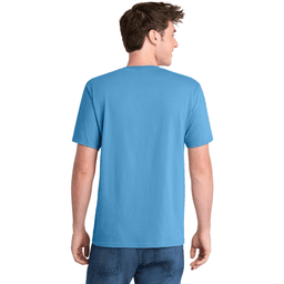 Back (Model)