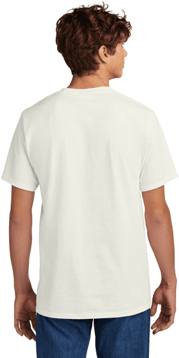 Back (Model)
