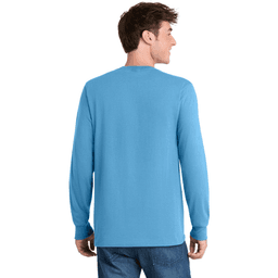 Back (Model)