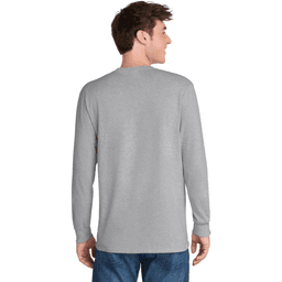 Back (Model)