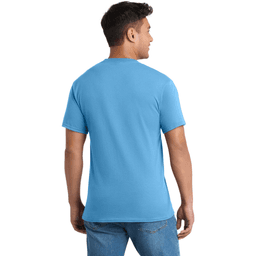 Back (Model)