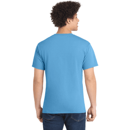 Back (Model)