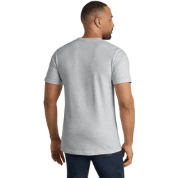Back (Model)