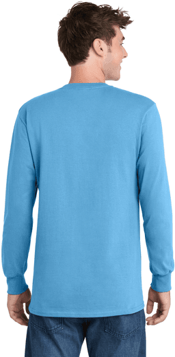 Back (Model)