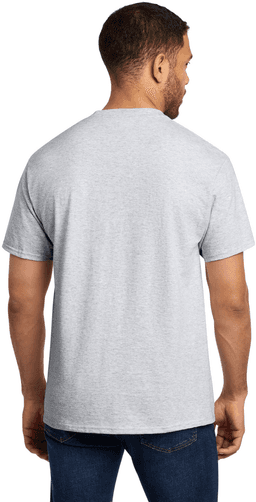 Back (Model)