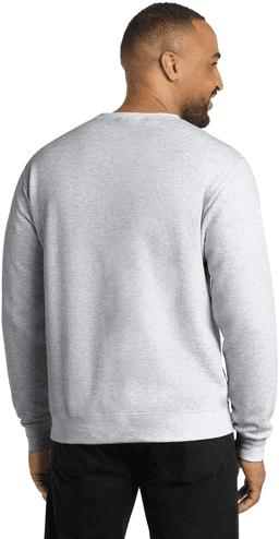 Back (Model)