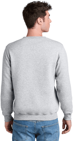 Back (Model)