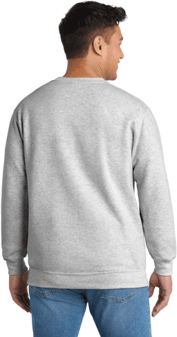 Back (Model)
