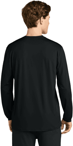 Back (Model)