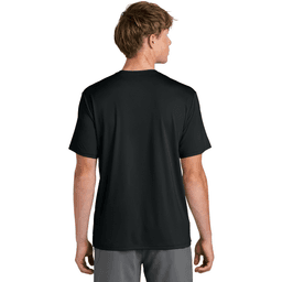 Back (Model)