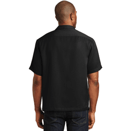 Back (Model)