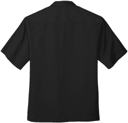 Back (Flat)