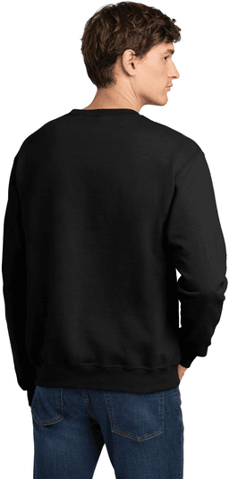 Back (Model)