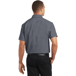 Back (Model)
