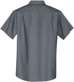 Back (Flat)