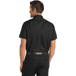 Back (Model)