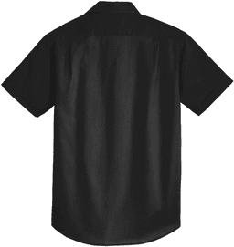 Back (Flat)