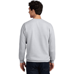 Back (Model)