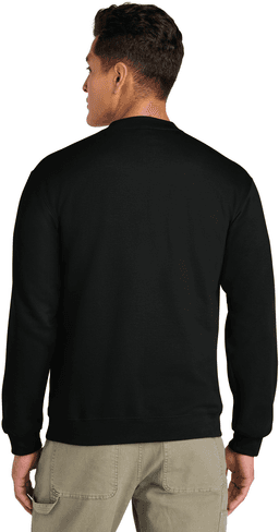 Back (Model)