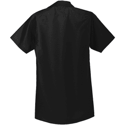 Back (Flat)