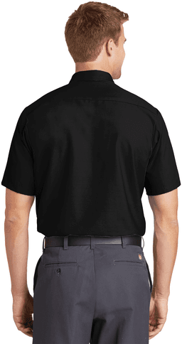 Back (Model)