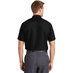Back (Model)