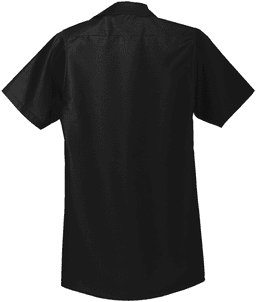 Back (Flat)