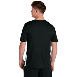 Back (Model)
