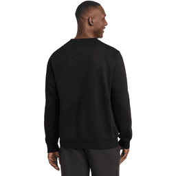 Back (Model)