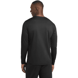 Back (Model)