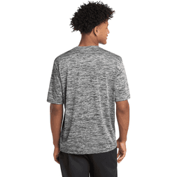 Back (Model)