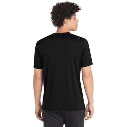 Back (Model)