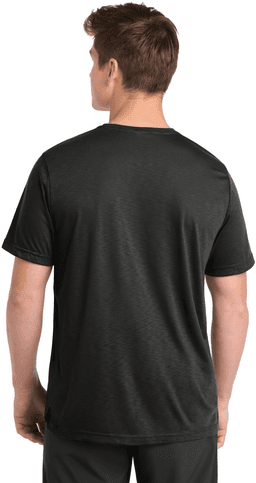 Back (Model)
