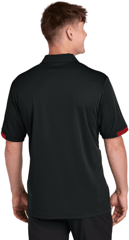 Back (Model)
