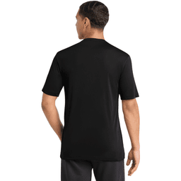 Back (Model)