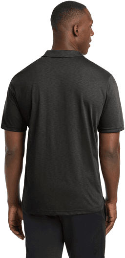Back (Model)