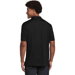 Back (Model)
