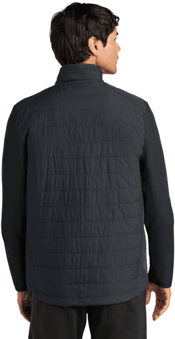 Back (Model)