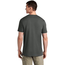 Back (Model)