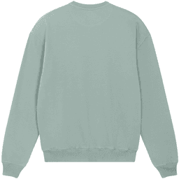 Back (Flat)